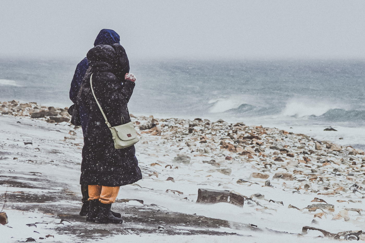 Закружила вьюга над морем ,завьюжила