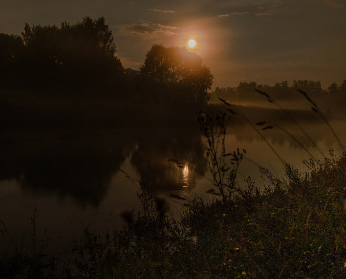 Лунная ночь