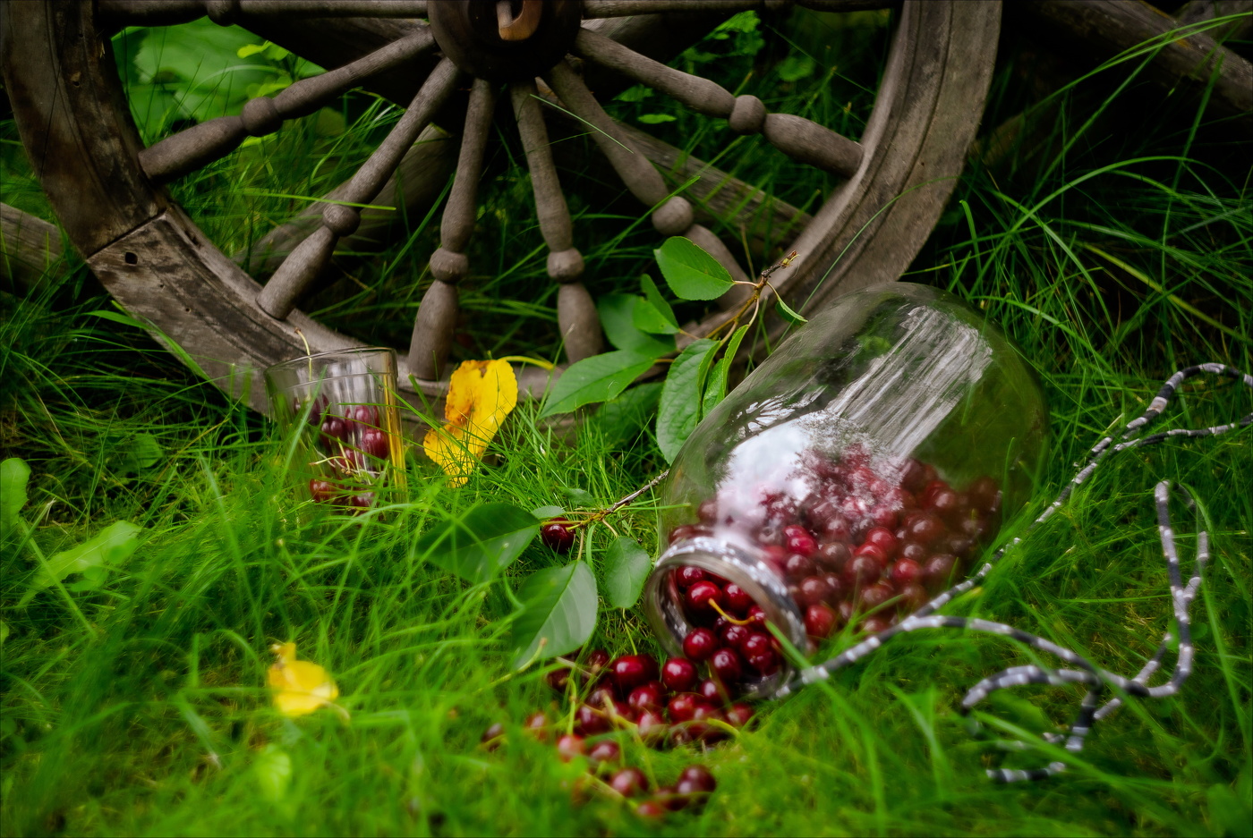 ПОСПЕЛА ВИШНЯ