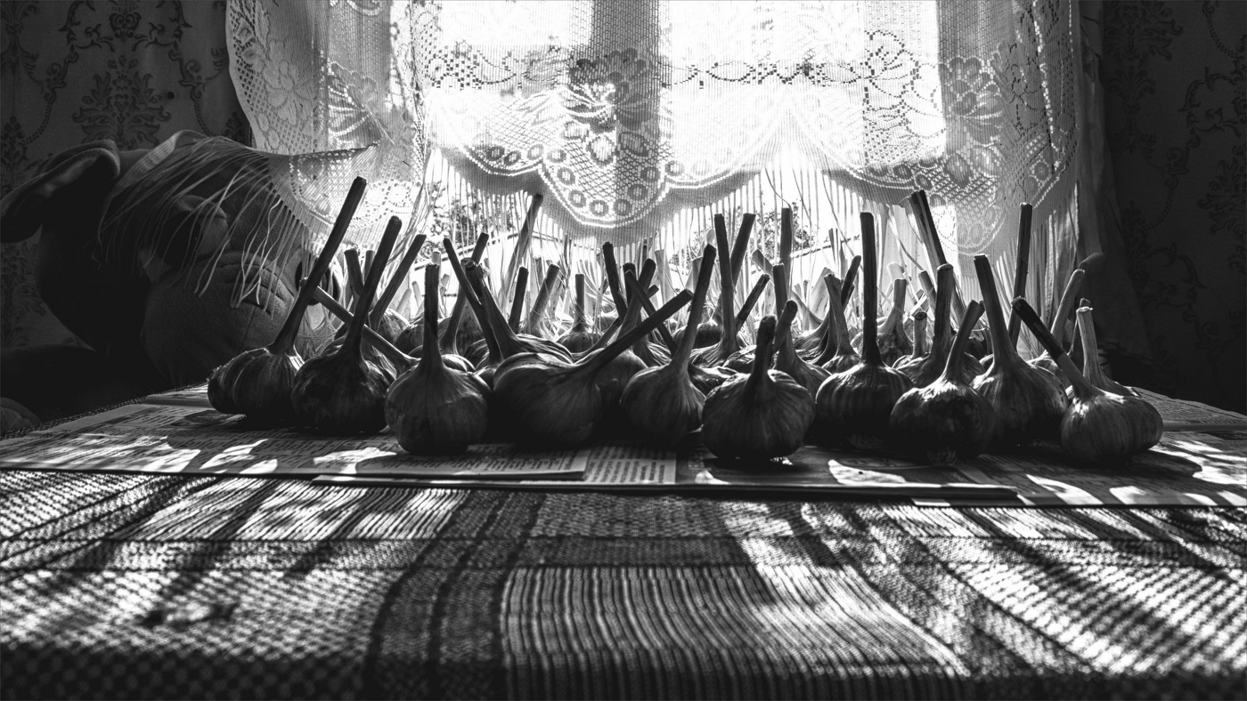 Жизнь вокруг