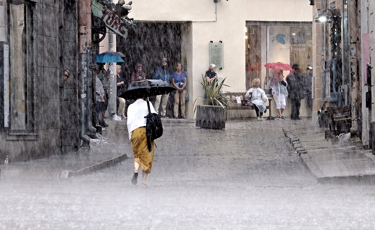 Просто пошел дождь