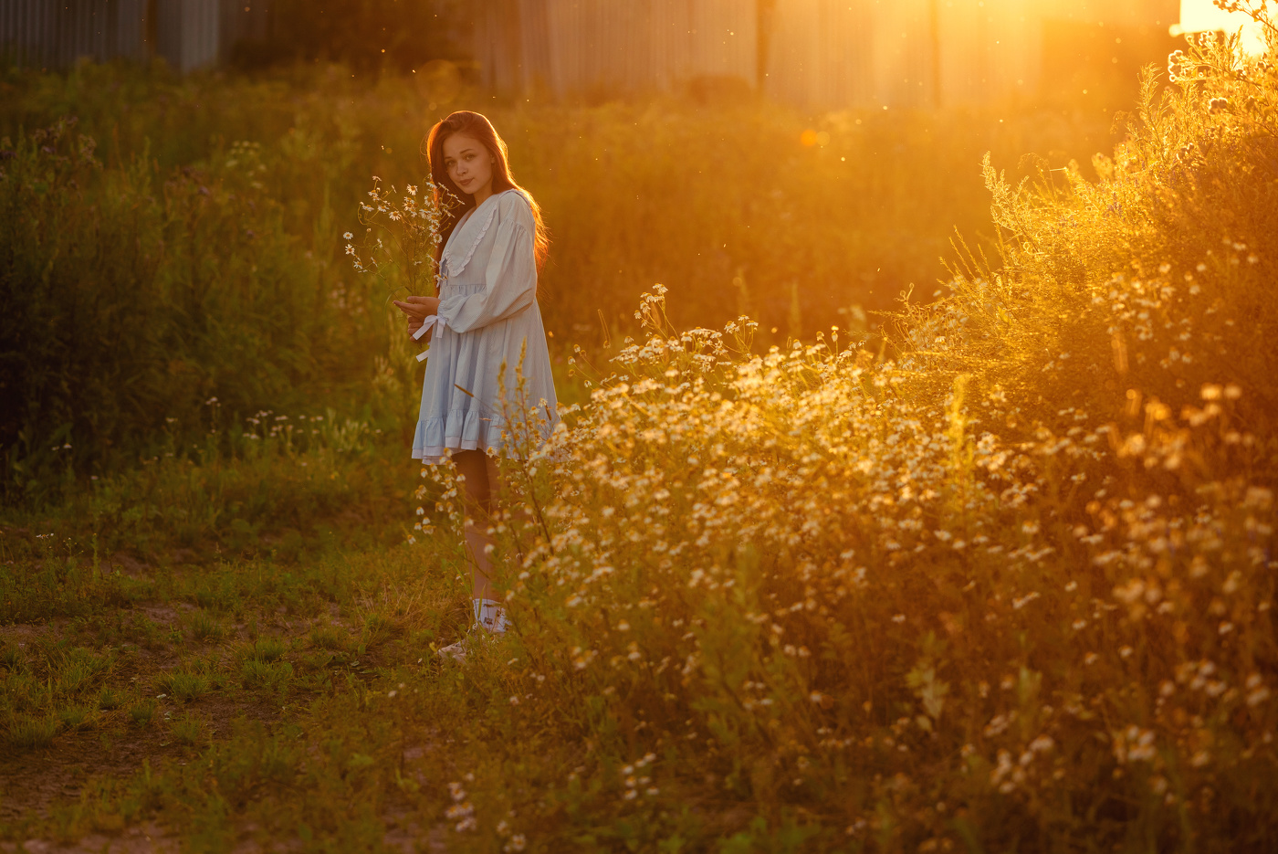 В лучах июльского Солнца