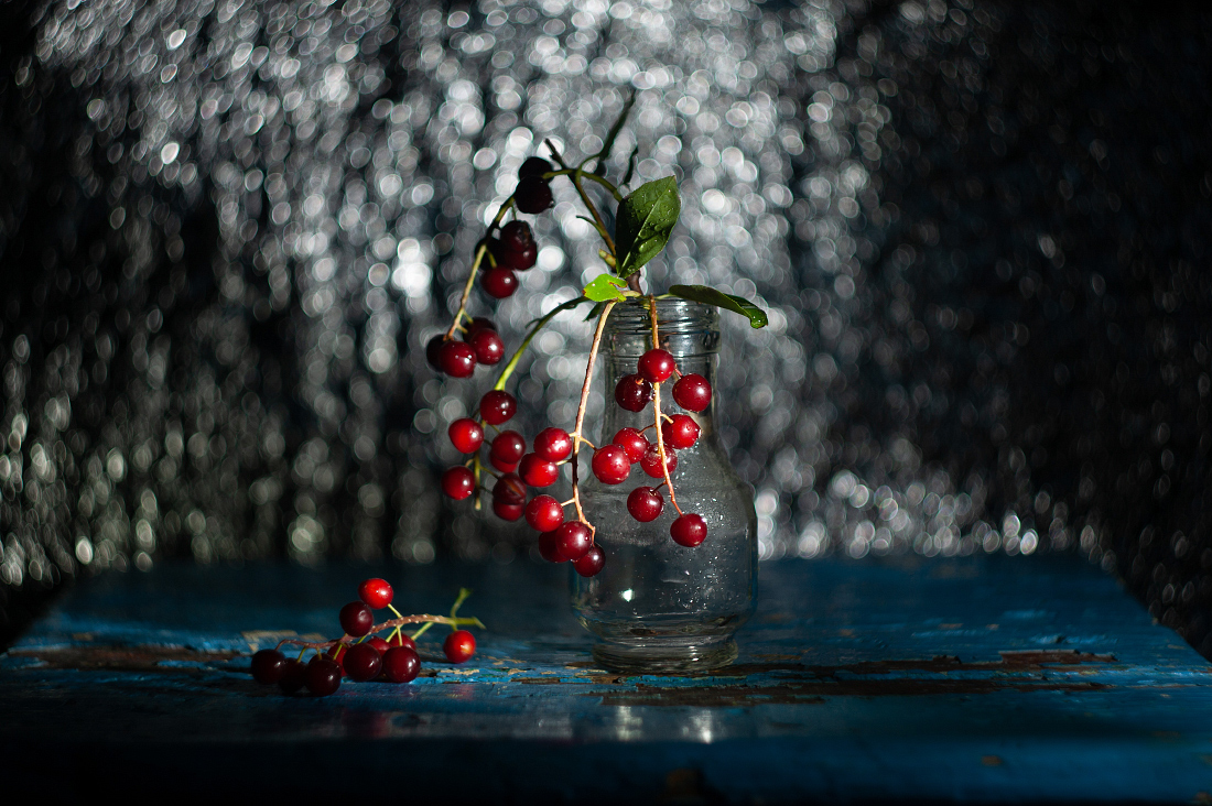 С красной черемухой