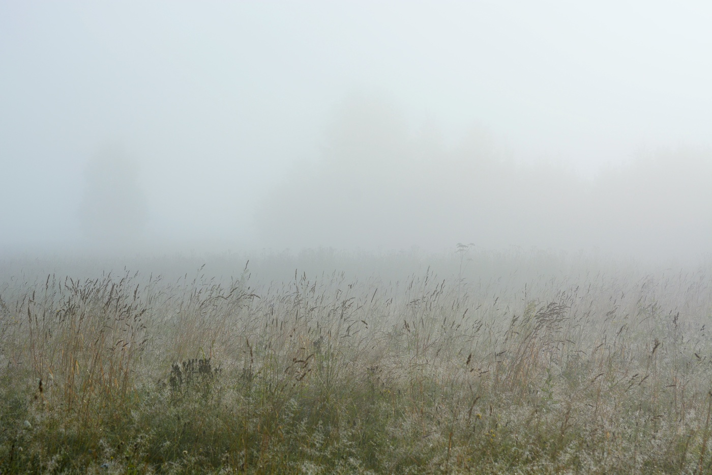 "Опять туман... не видно ничего..."