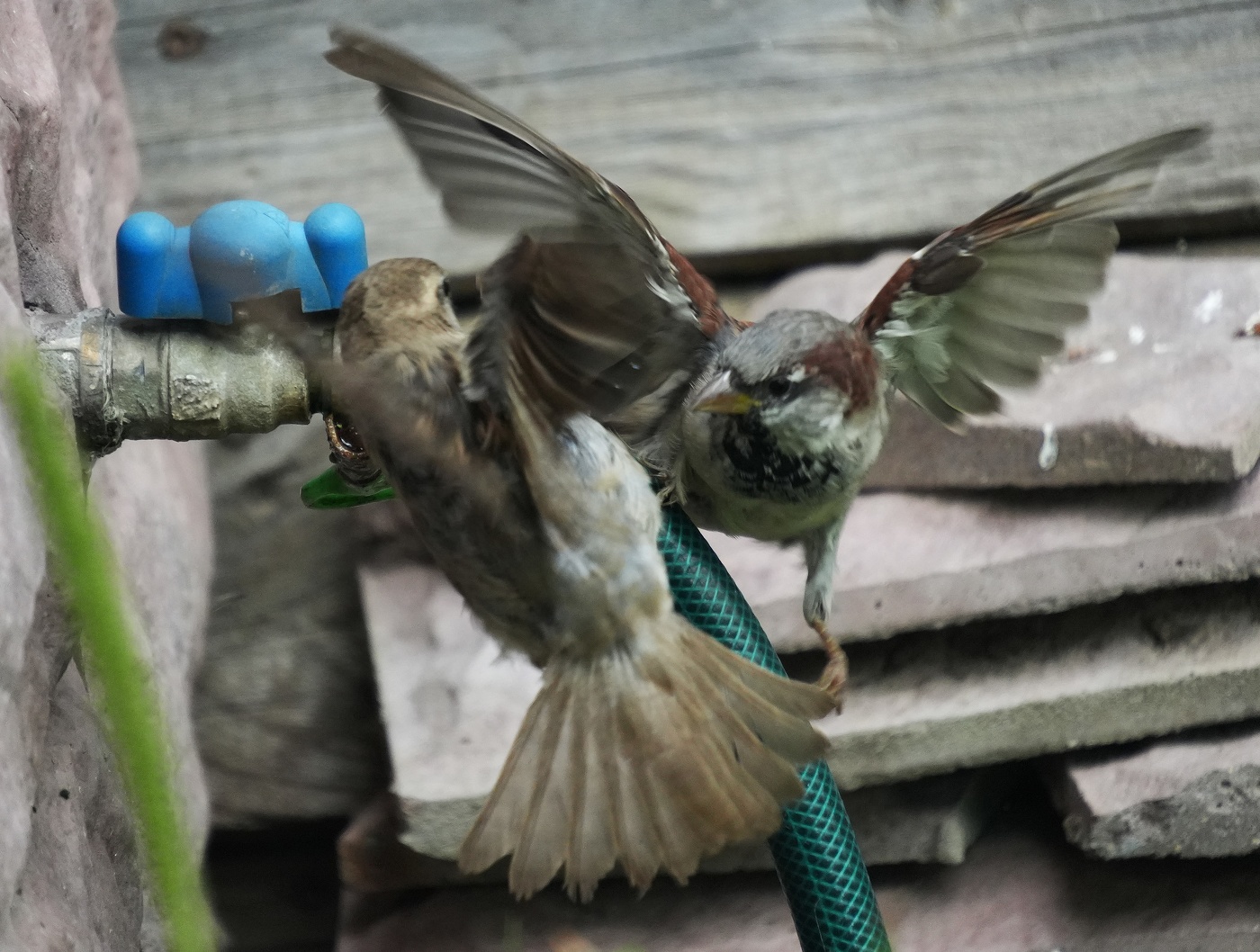 Битва за воду