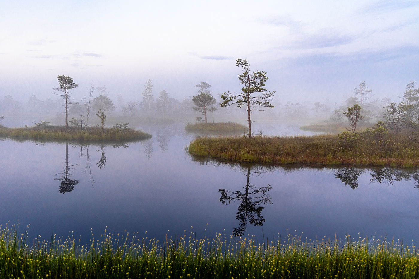Регата в тумане