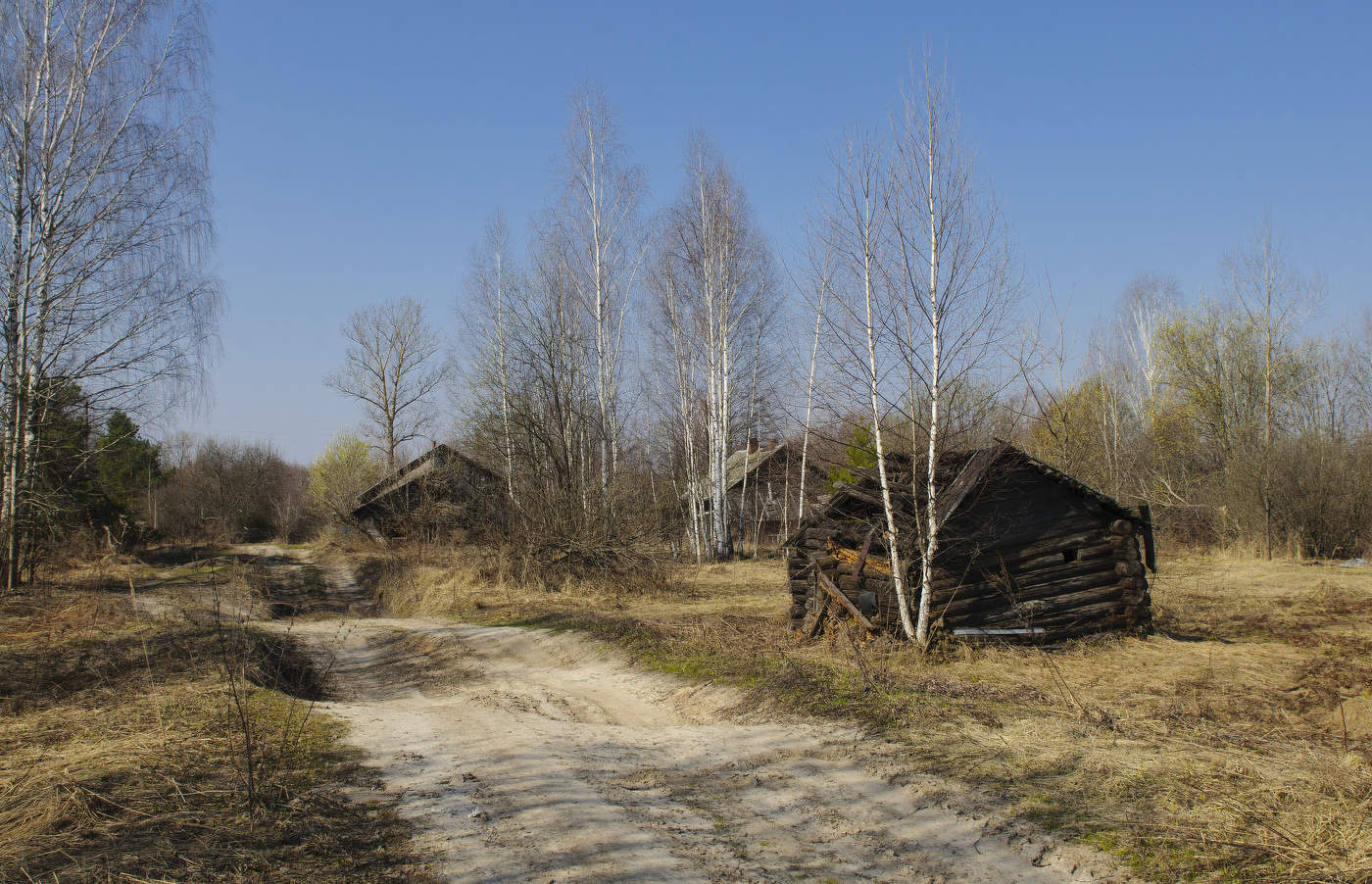 По дороге на Кезу...