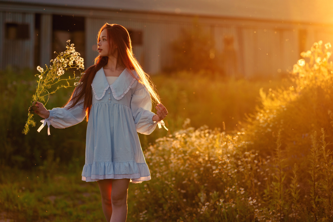 С букетом ромашек