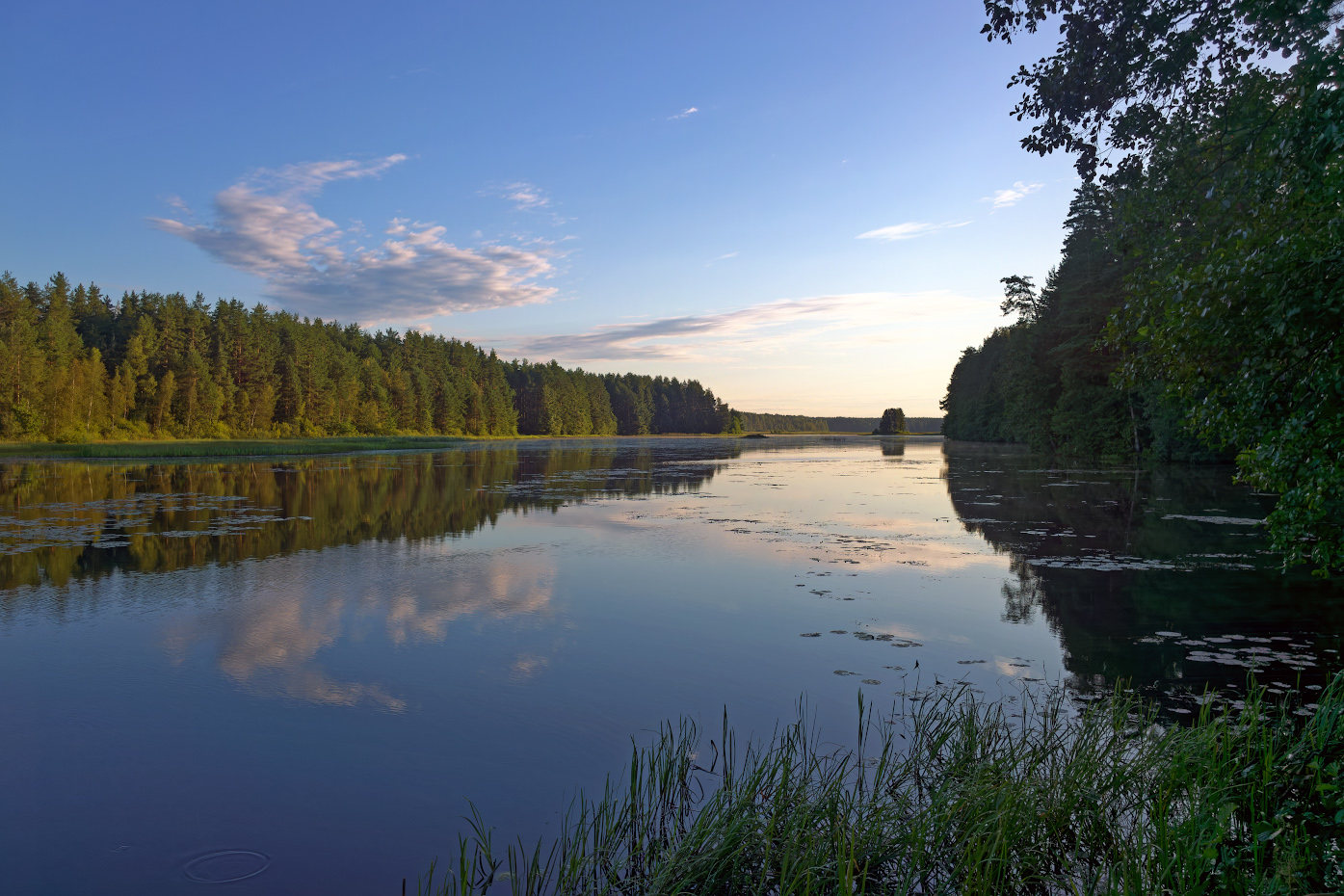 р. Лонница. Утро.