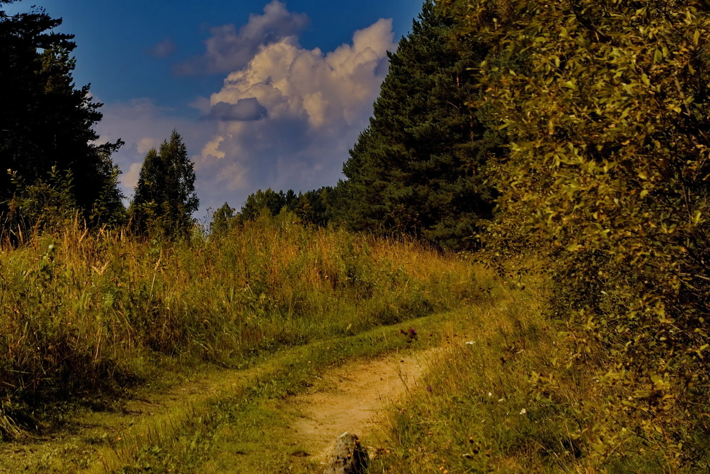 *Тропинка.**