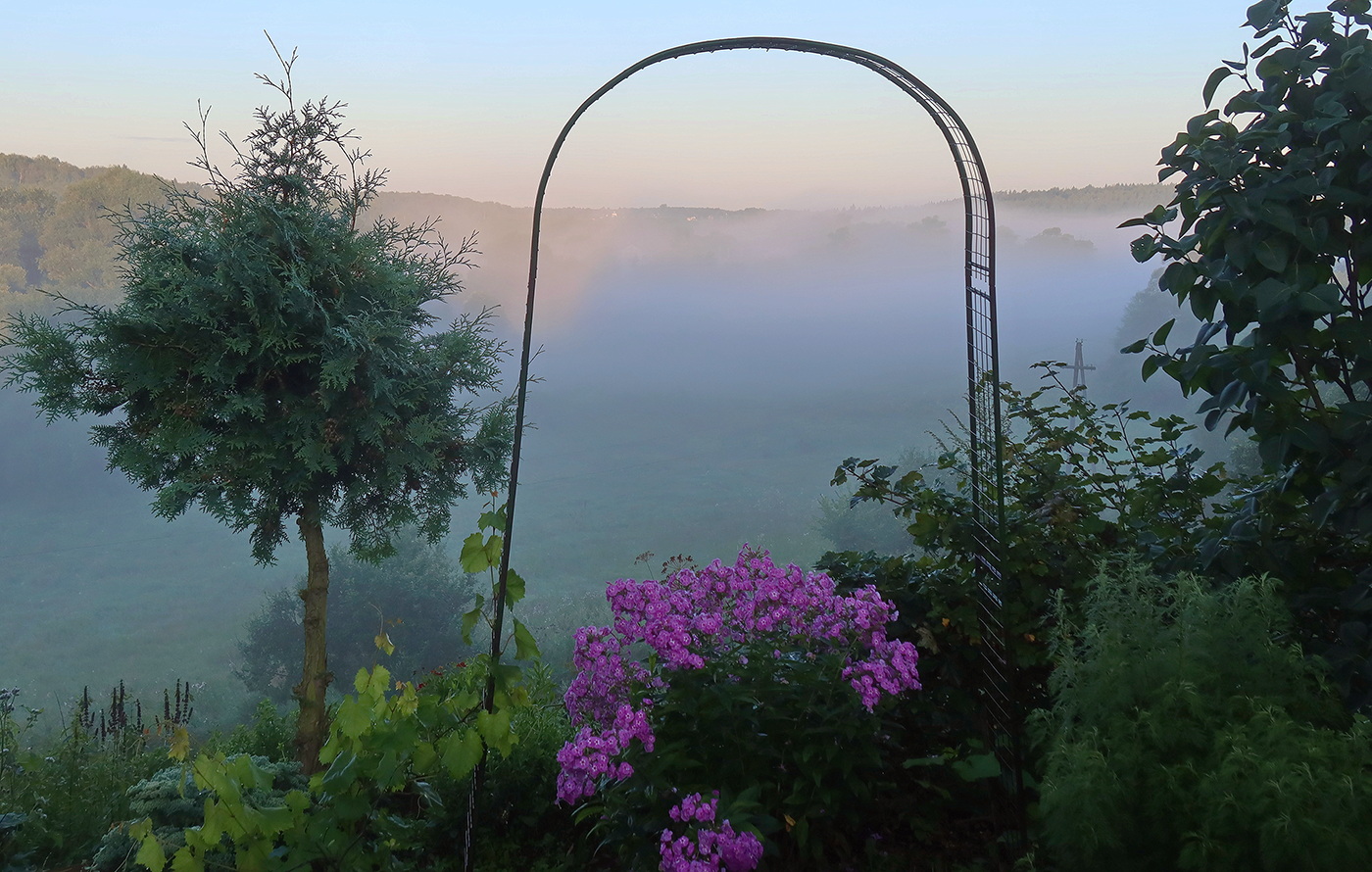 Дорога в утренний туман