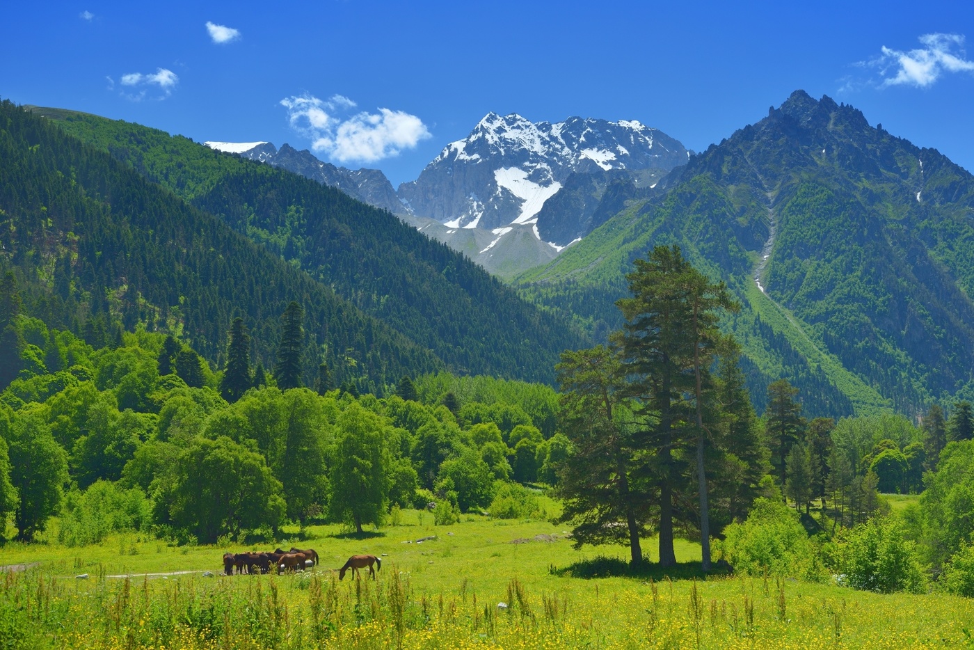 Лето в горах Кавказа