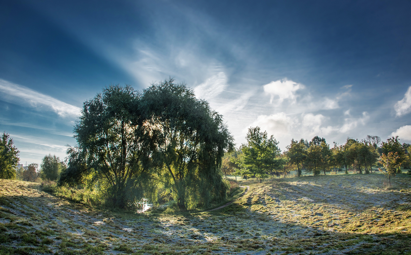 Прохладное утро.