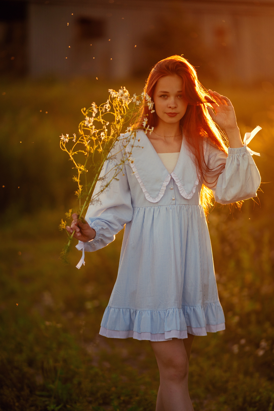 Сияющее Солнце июля