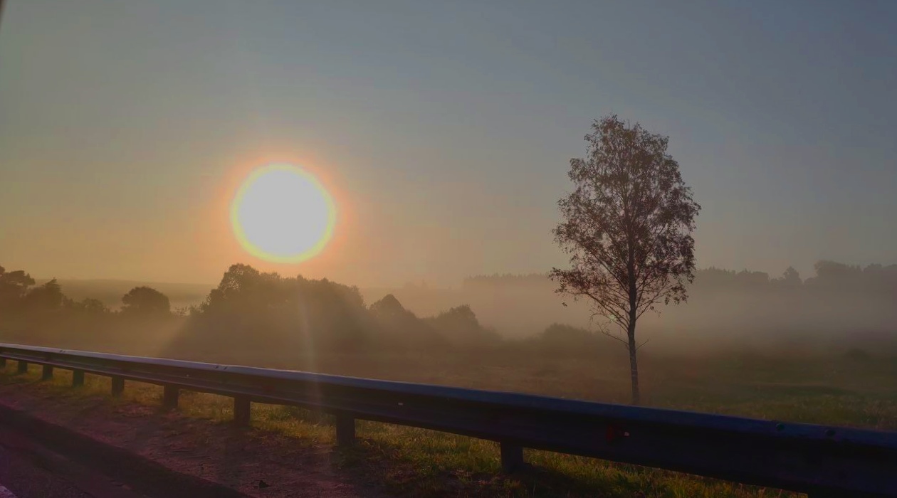 восход солнца..туман