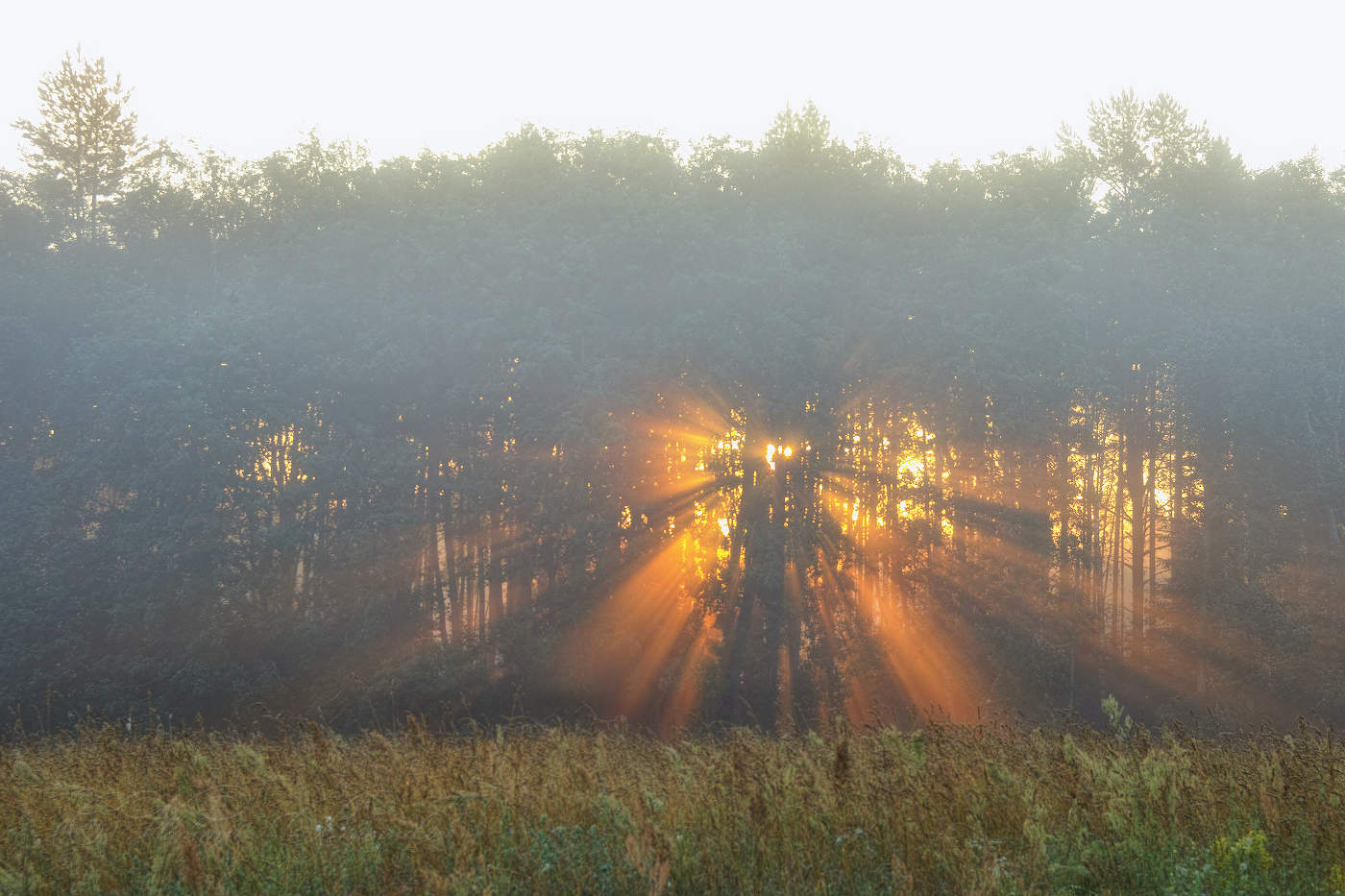 Солнечный шатёр