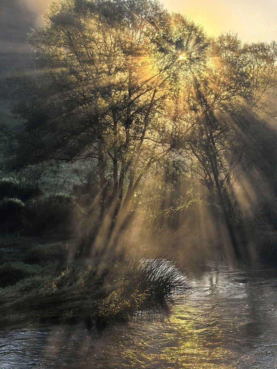 Пробивая утренний туман. Рассвет. Солнце встает!