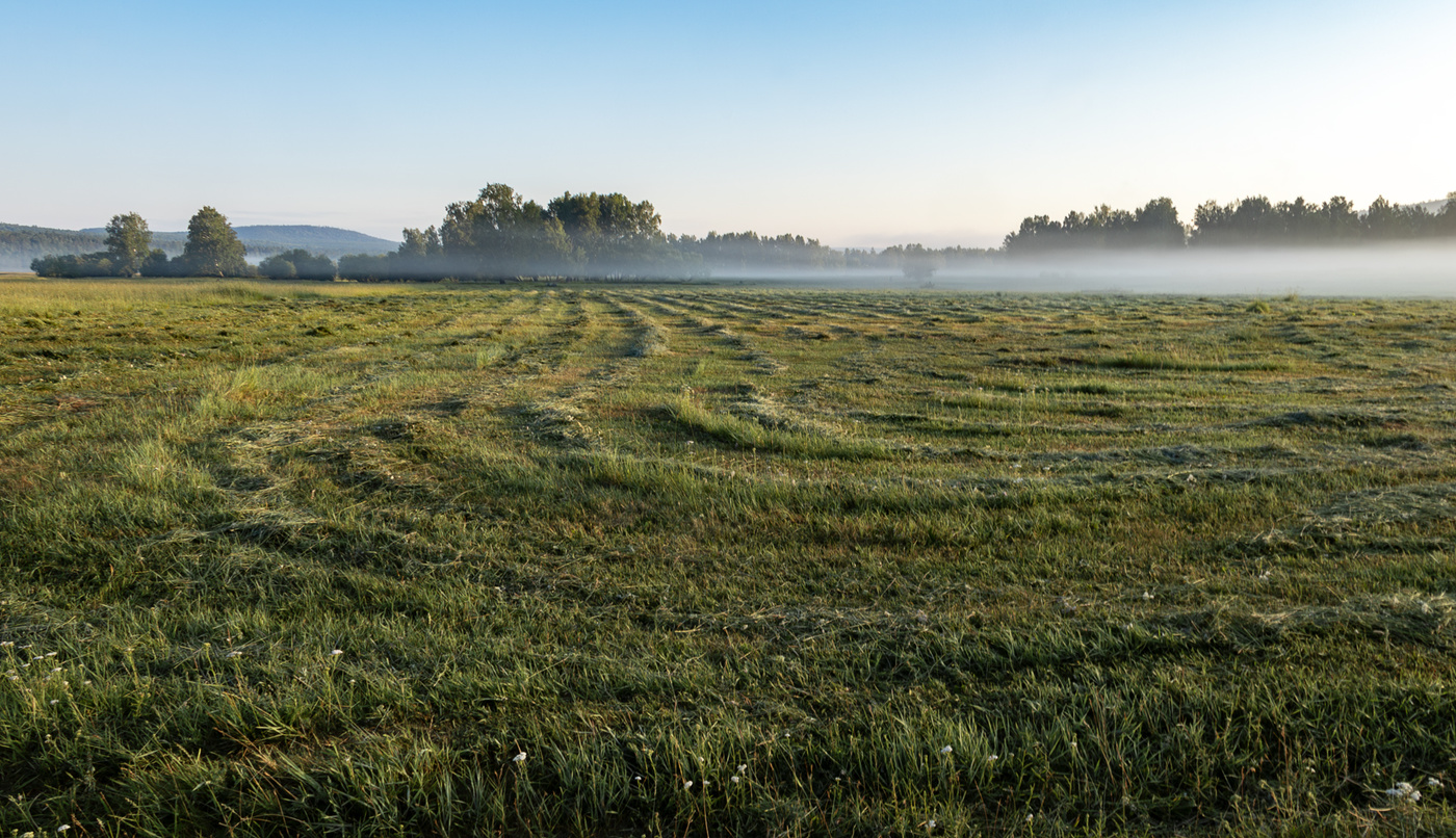Утренний покос
