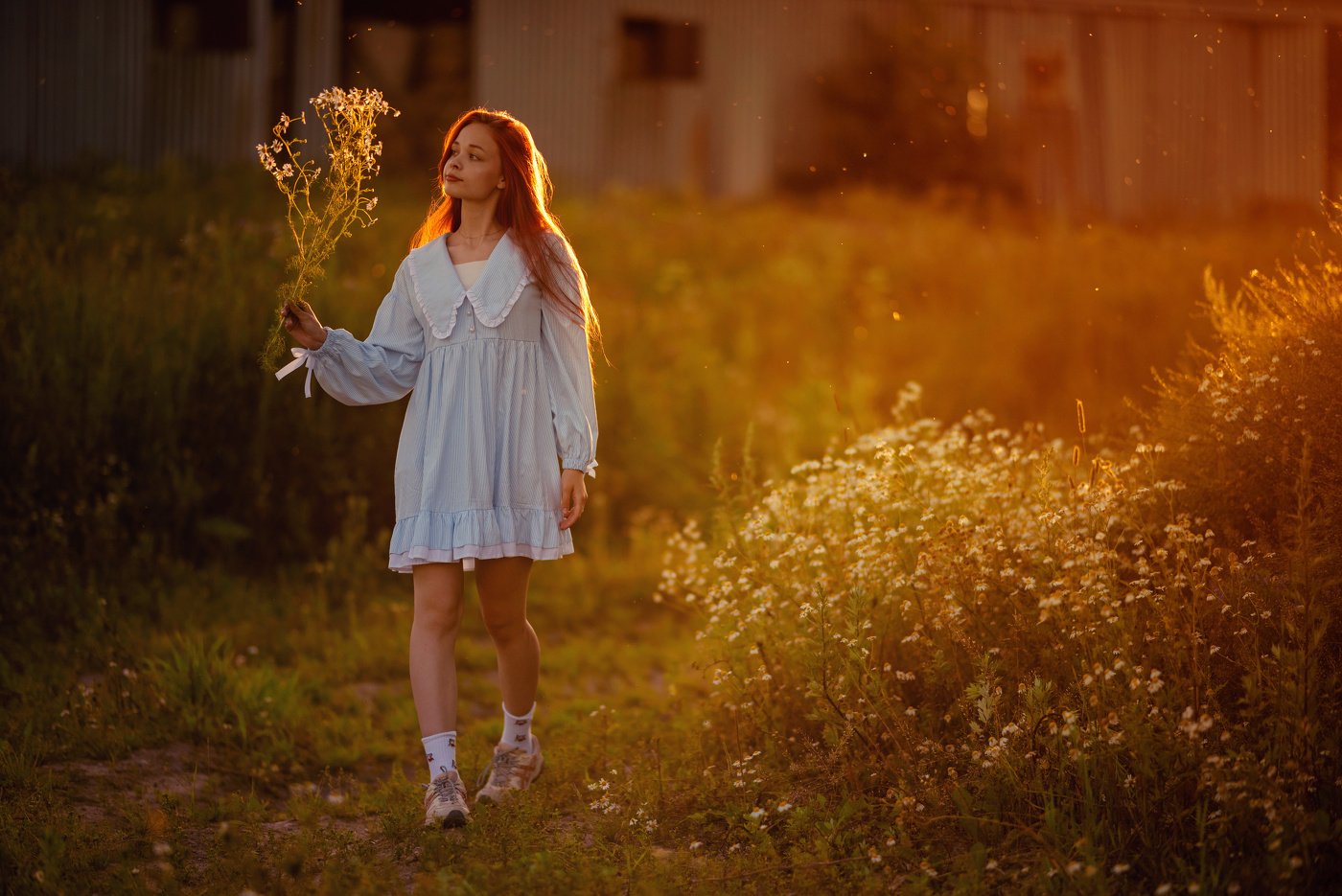 С веткой полевых ромашек