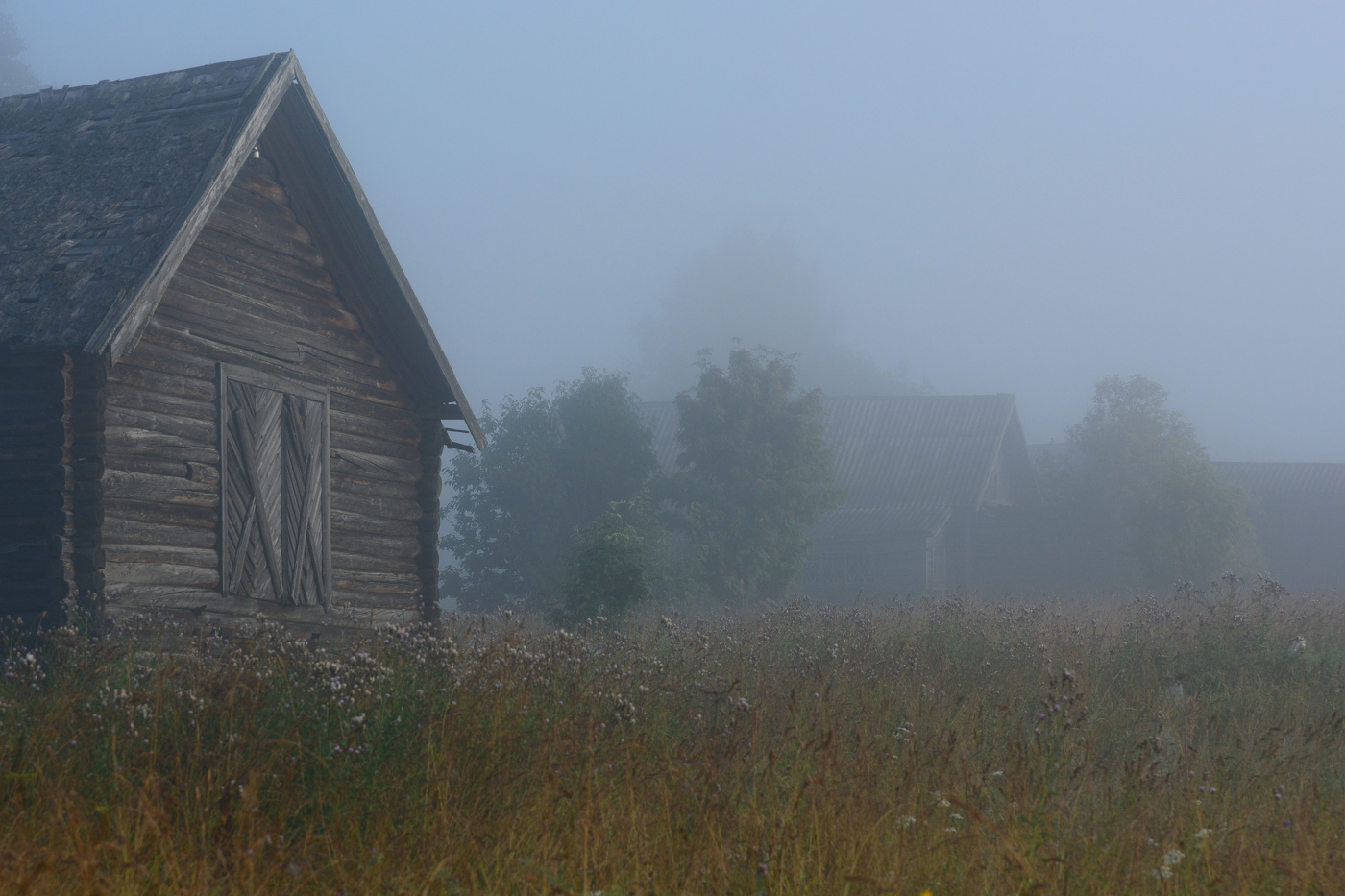 "Не в первый раз кричит петух ..."