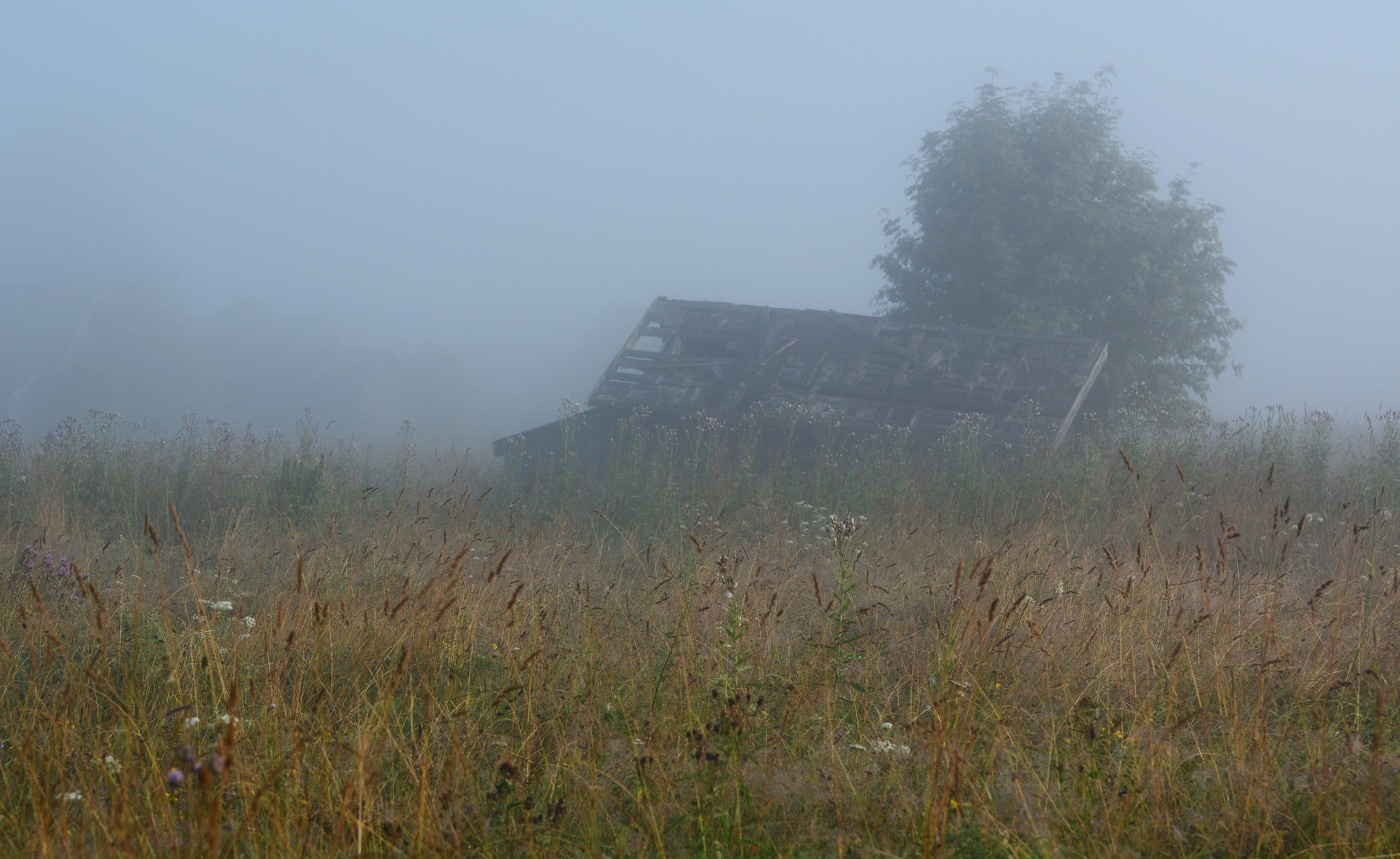 "Все тихо так, что быть не может тише ..."