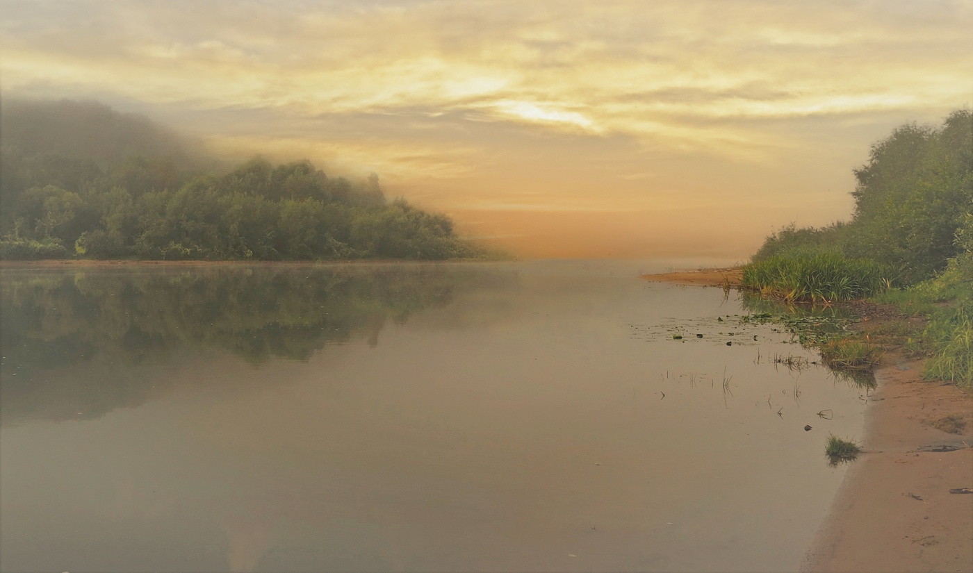 Туманы августа особенно грустны…