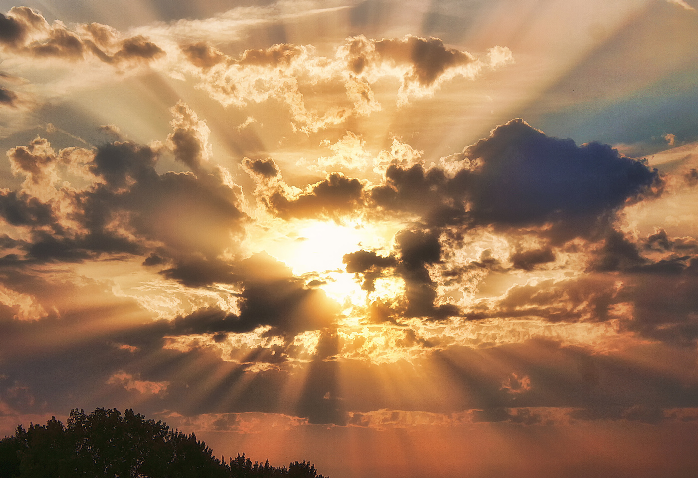 Утренняя роза в небе