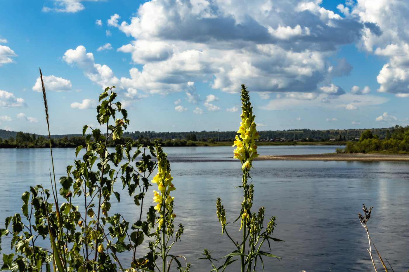 Скоро осень. На Оке август.