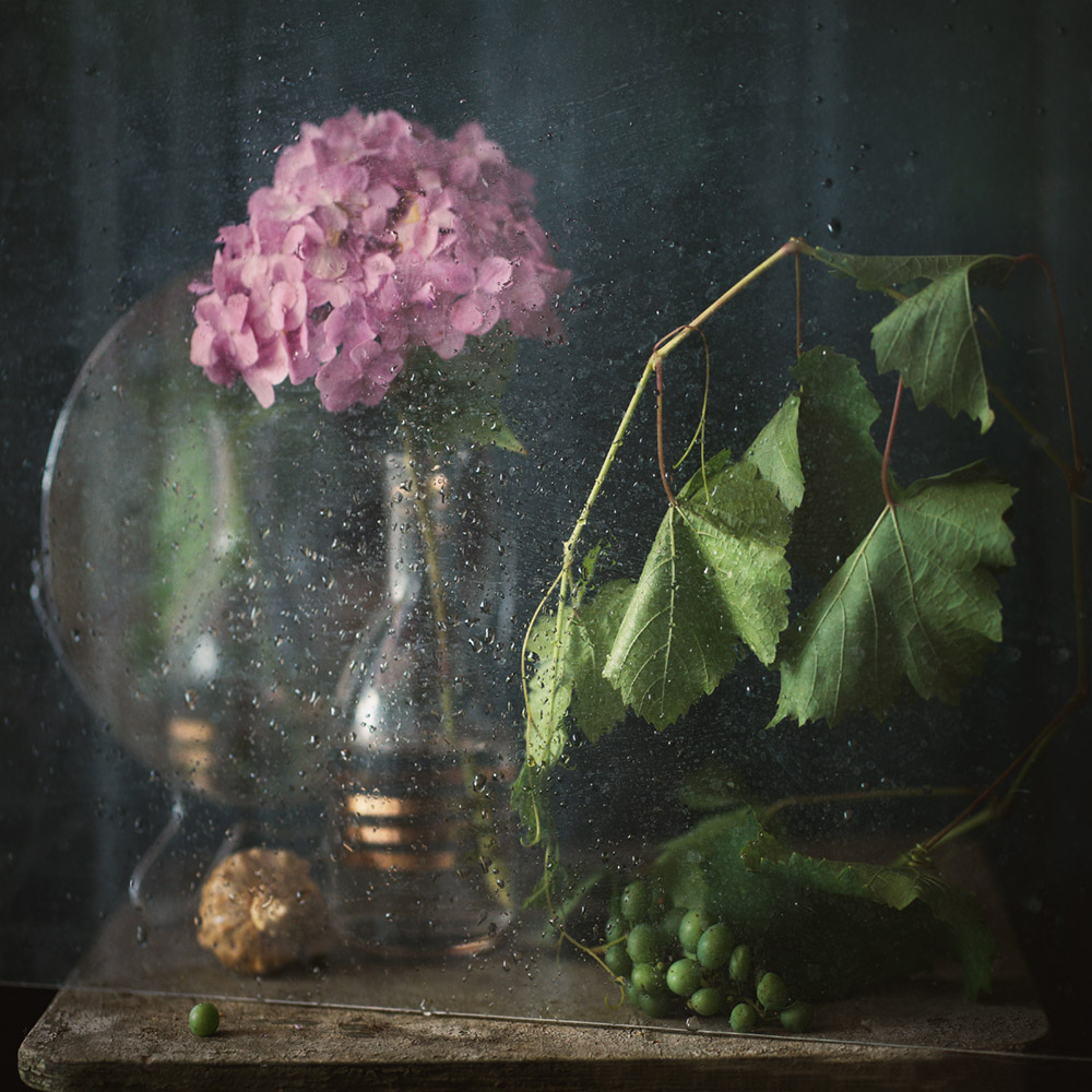 С гортензией...