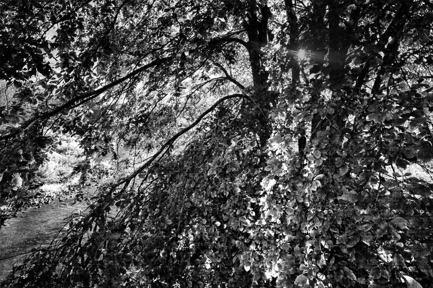 Жизнь вокруг