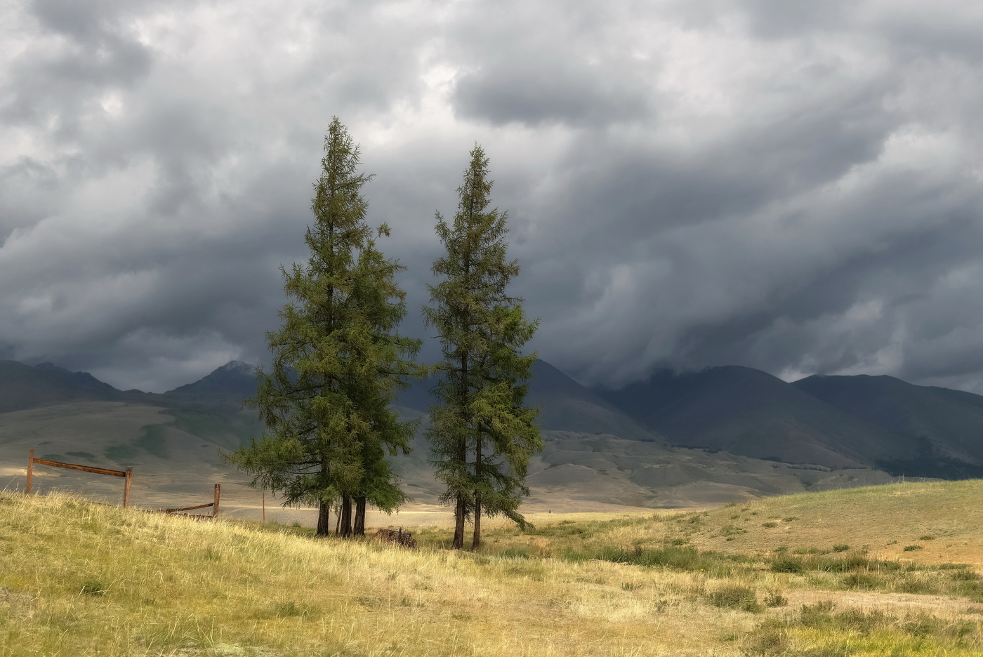 Перед дождем