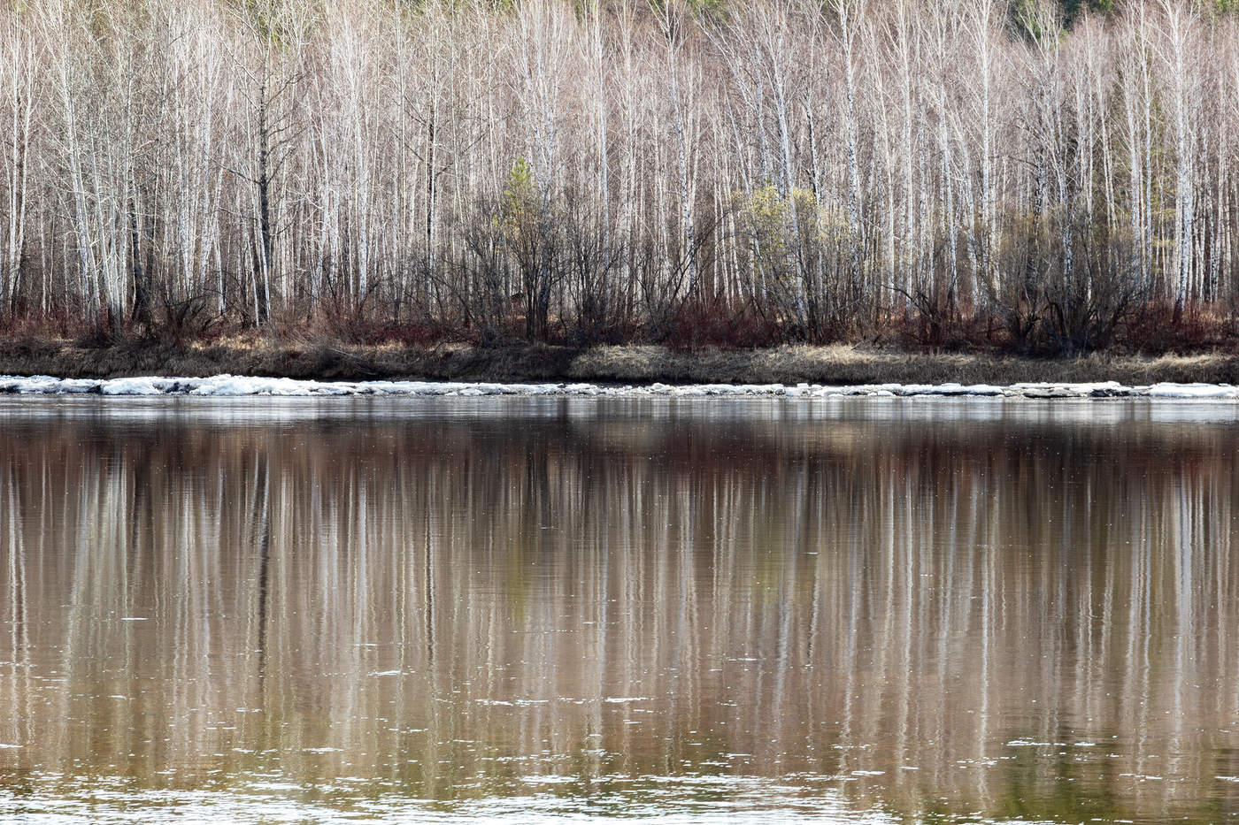 Весенний штрих реки