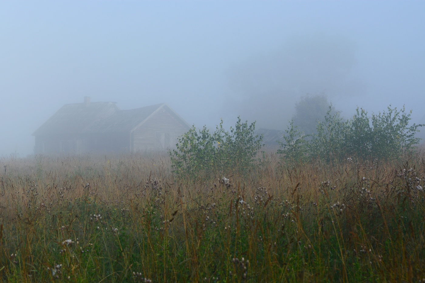 "Вновь упиваюсь, беспечальный, я деревенской тишиной ..."