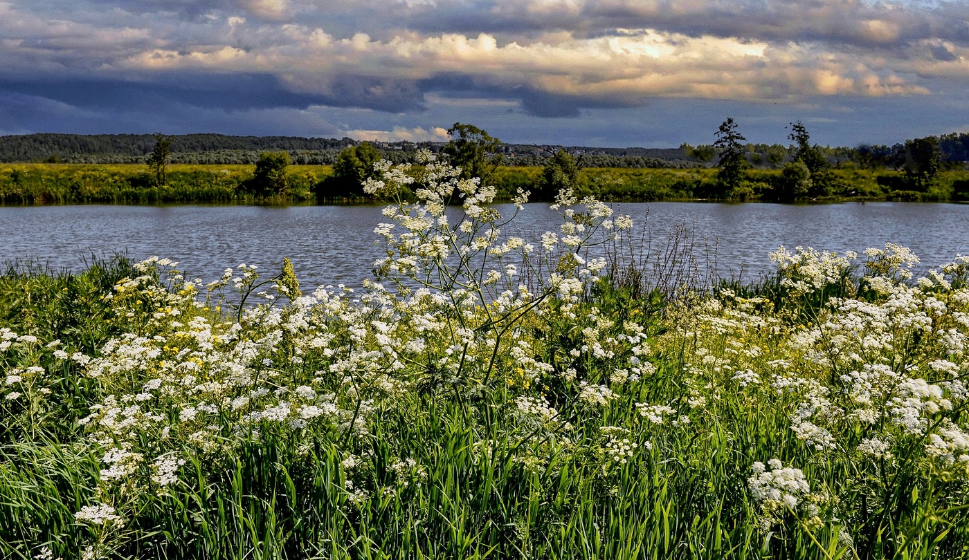 На озере Резвань. (Калужская область)