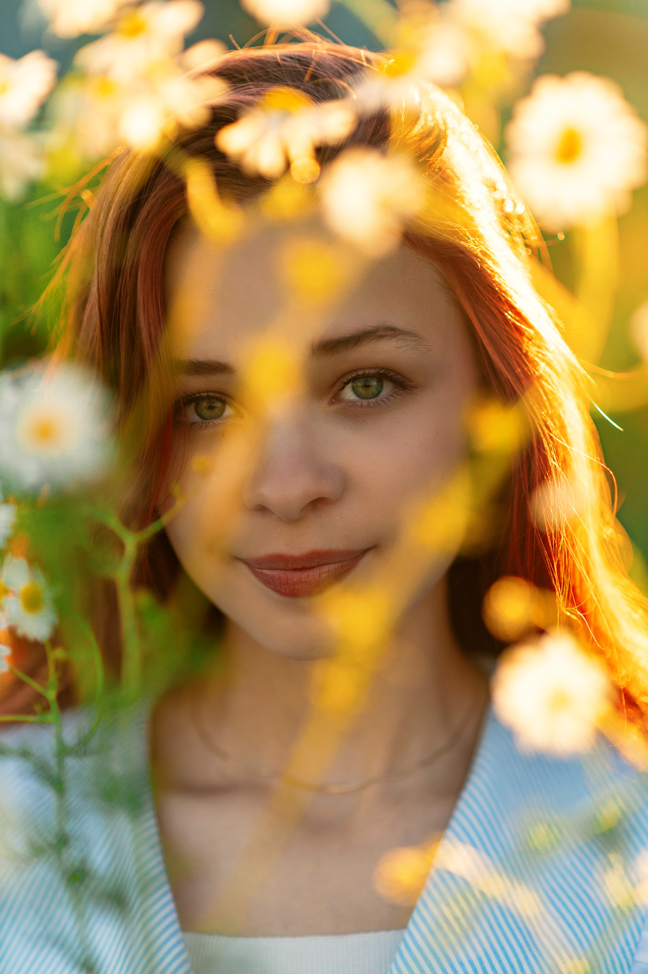 Сквозь ромашки