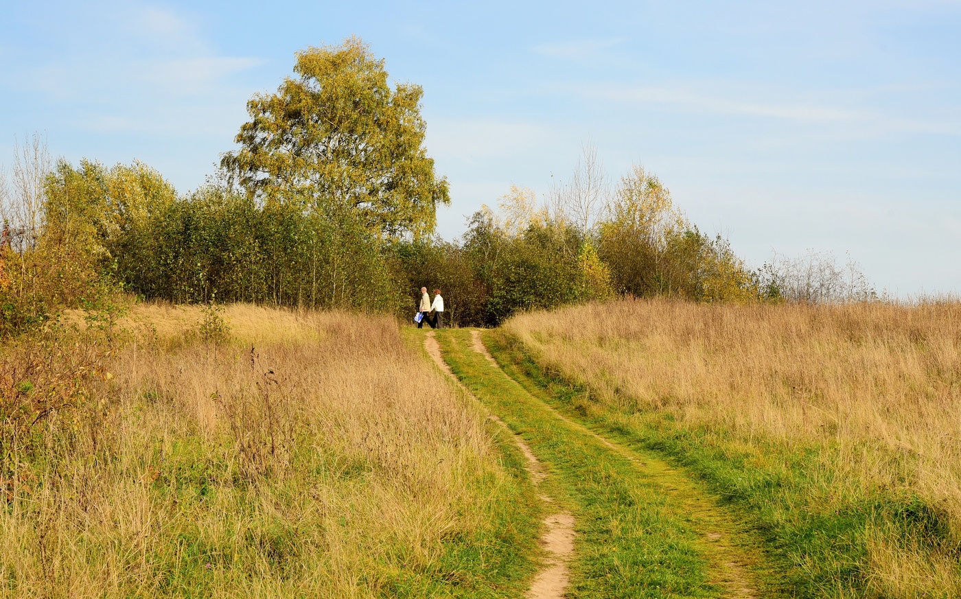 "И будет осень! И будет грустно и немного сладко ..."