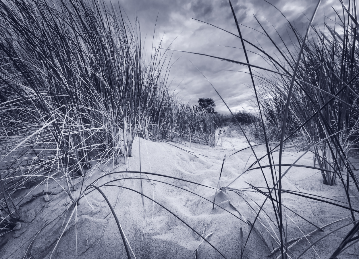 Дюны Паланги