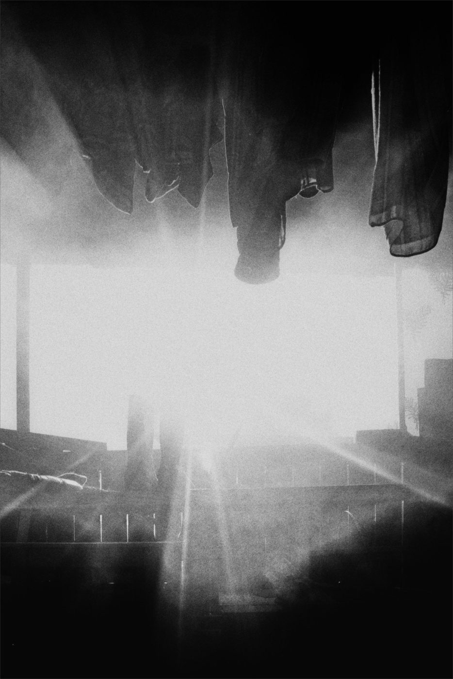 Жизнь вокруг