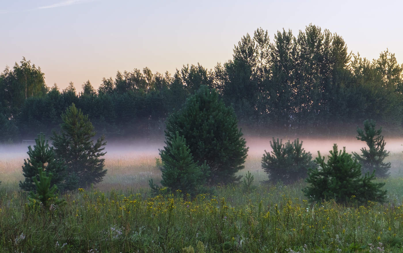 Тающая дымка рассвета