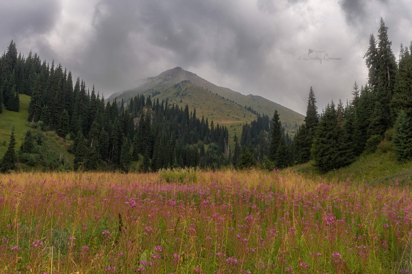 Надвигается гроза...