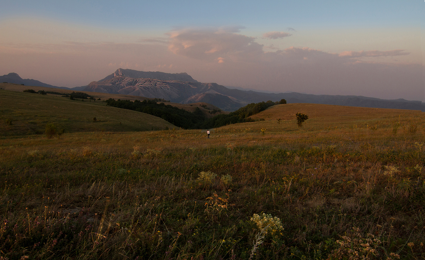 Предрассветная