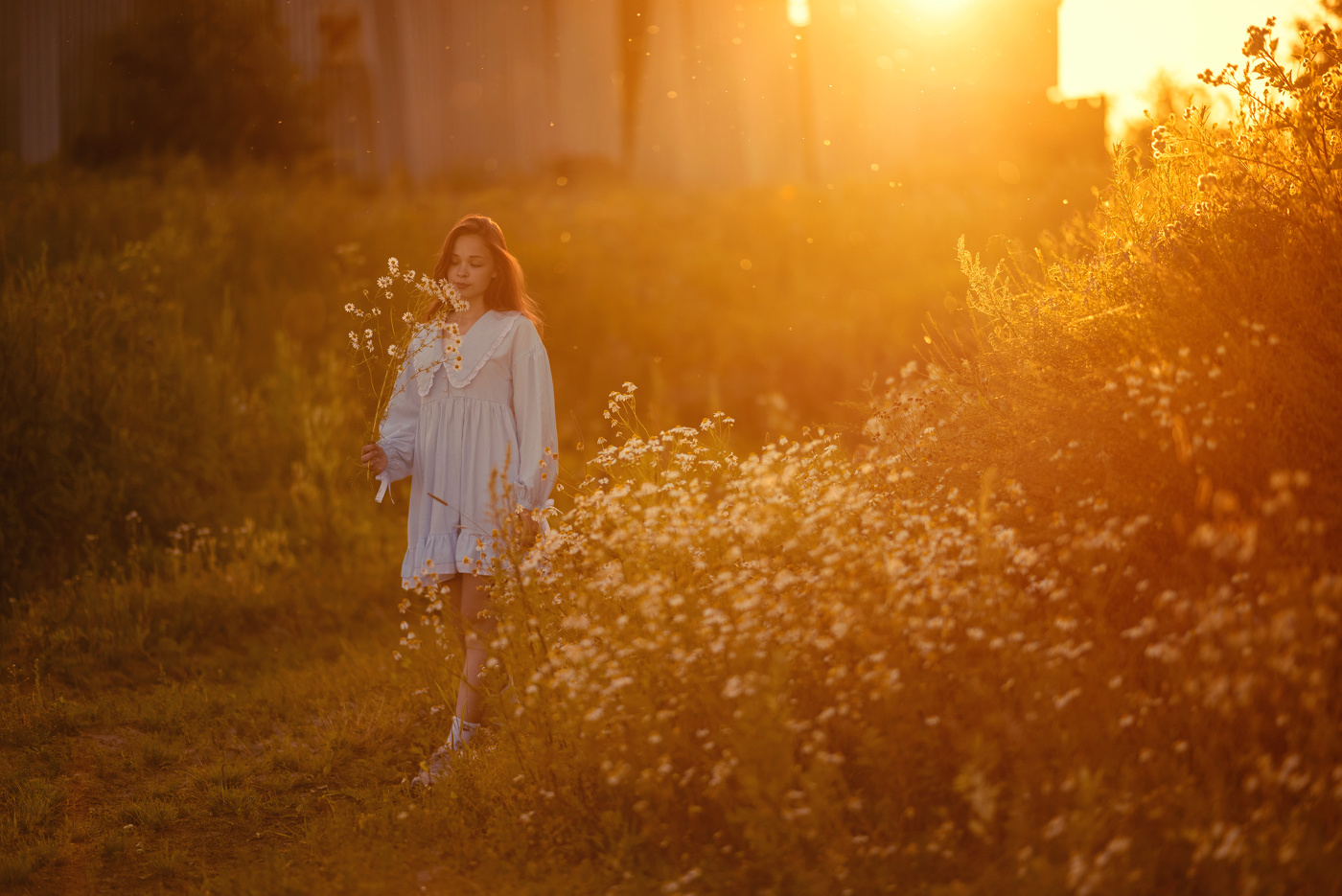 Летняя прогулка по ферме