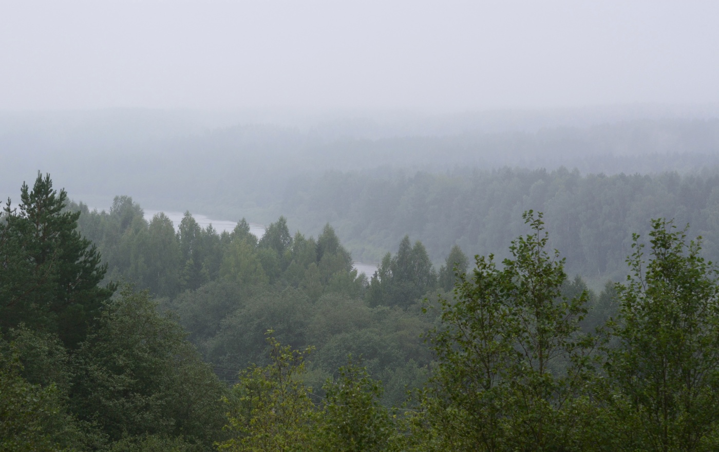 Полусонное утро ...