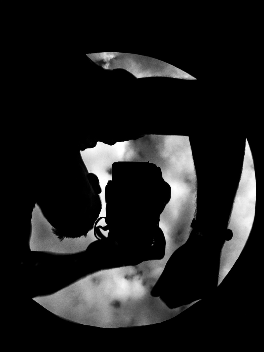 Жизнь вокруг