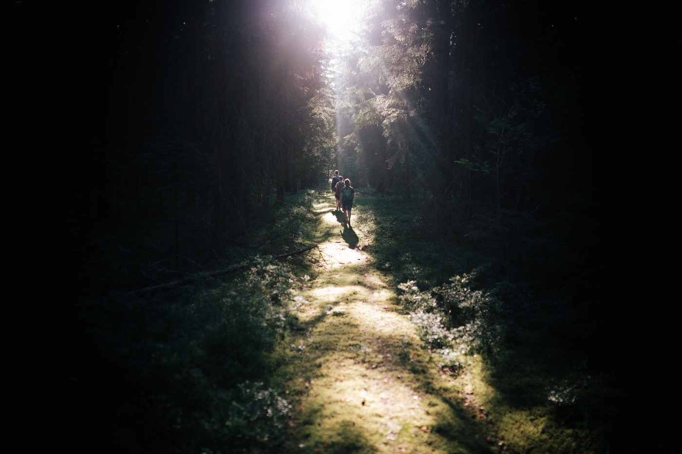 Дорога к солнцу.