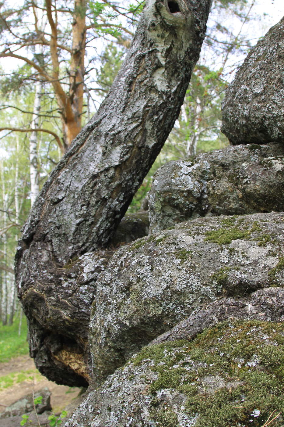 Любовь к жизни