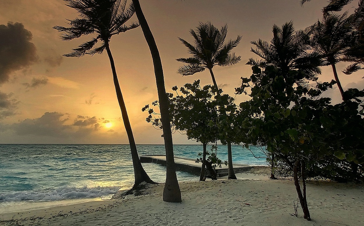 Вечер удался