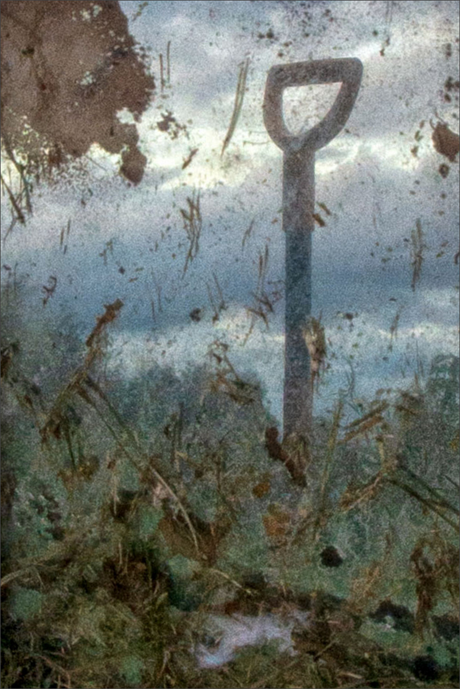 Жизнь вокруг