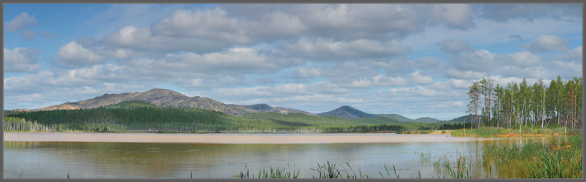 Мертвая вода
