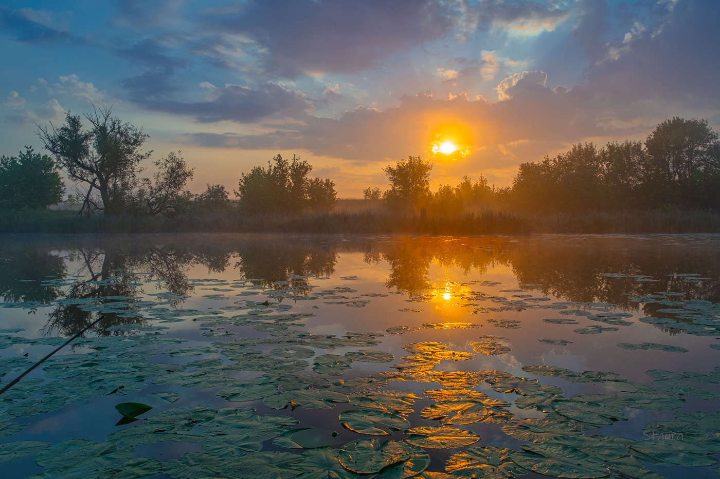 Весна. Рассвет.